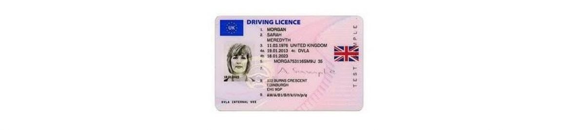 Driving Licence Large